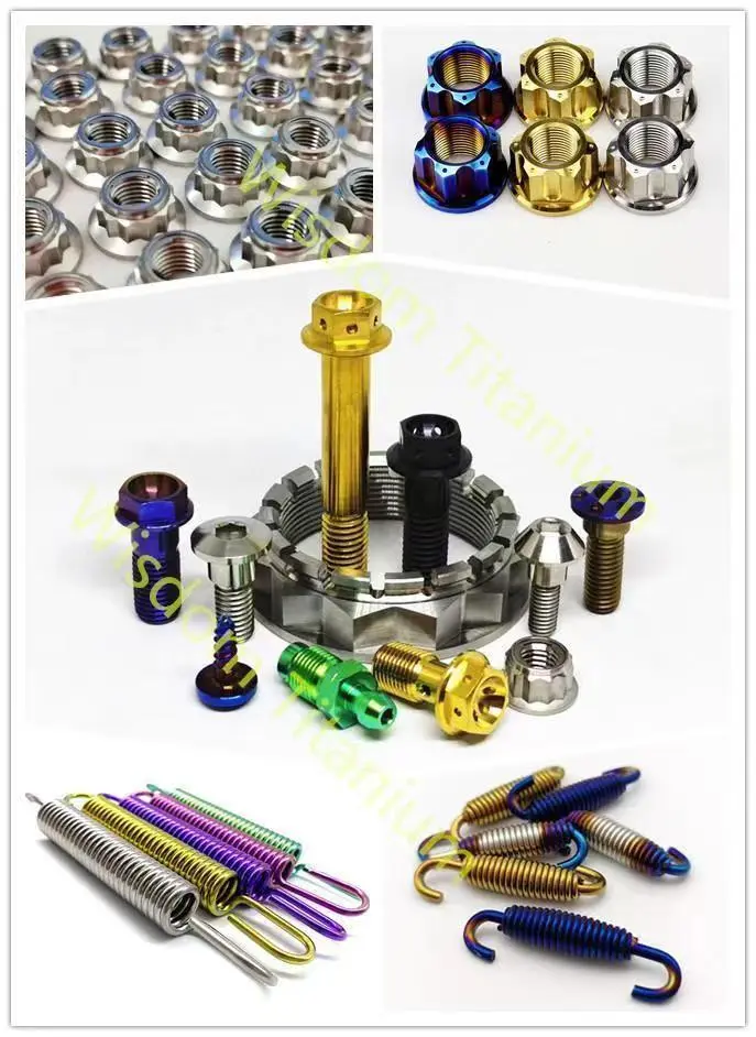 titanium motorcycle screw.jpg
